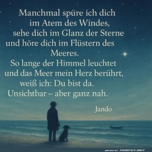 herz-Bild: Sternenpoesie trifft Meeresfl&uuml;stern