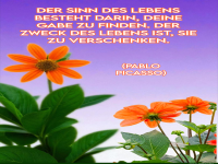 der sinn des lebens