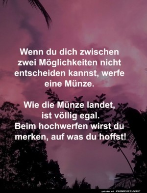 Der-M�nzentscheidungshelfer!.jpg auf www.funpot.net
