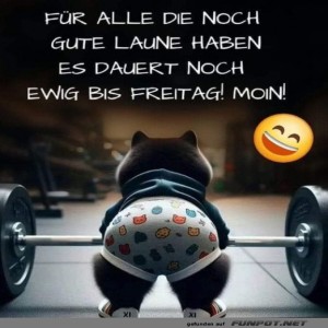 Katzen-Power-bis-Freitag!.jpg von Michelle
