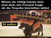 Kleiner Sombrero, gro�e Tequila-Tr�ume