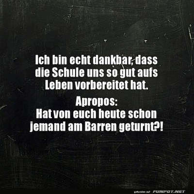 Schule-des-Lebens...-oder-des-Barrens?.jpg von Tobias-1995