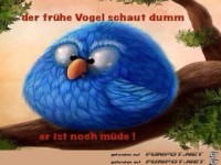 der fr�he Vogel...