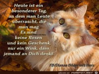 Heute ist ein besonderer Tag