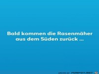 Rasenmher kommen zurck