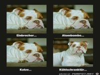 Fast nix hebt ihn an
