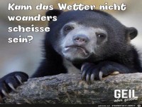 Gute Frage