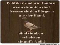 Politiker sind wie Tauben...