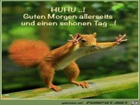 HUHU guten morgen