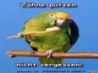 Z�hne putzen