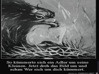 Wer kümmert sich um wem?
