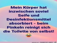 Die Toilette ist von selbst sauber