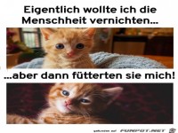 Die Menschen f�tterten mich