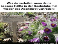 Abendbrot vertrödelt