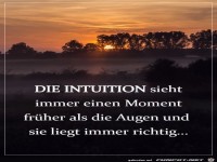 Die Intution
