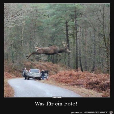 was-f&uuml;r-ein-Foto-.jpg von Sia