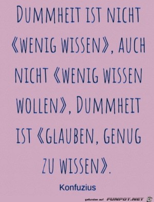Dummheit.jpg auf www.funpot.net