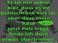 K�hlschrank