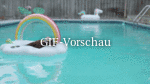 Hund-chillt-im-Pool.gif auf www.funpot.net