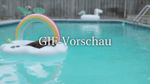 Hund chillt im Pool