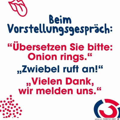 Zwiebel.jpg von Karan