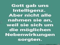 Intelligenz