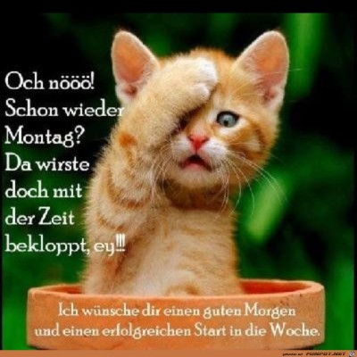 Schon-wieder-Montag.jpg von Klaus1101