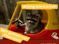 Steig ein