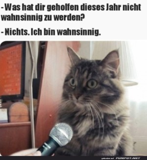 Ich-bin-wahnsinnig.jpg auf www.funpot.net