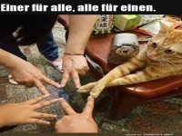 Einer für alle, alle für einen.