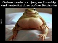 Frosch auf der Bettkante