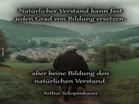 Spazieren mit Schopenhauer