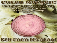 Zwiebel-Montag: Vorhang auf fr die Woche!