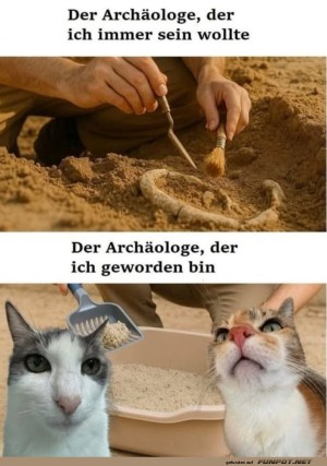 Vom-Ausgraben-zu-Katzenkrallen!.jpg auf www.funpot.net