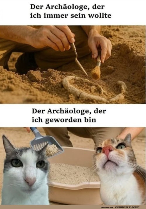 Vom-Ausgraben-zu-Katzenkrallen!.jpg auf www.funpot.net