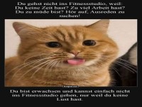 Katzenausreden f�r Fitnessmuffel
