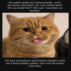 fun-Bild: Katzenausreden f&uuml;r Fitnessmuffel