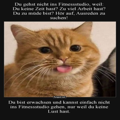 Katzenausreden-für-Fitnessmuffel.jpg von Bela