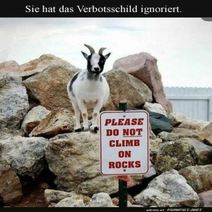 Mutige-Ziege-trotzt-Verbotsschild!.jpg von Tarik1967