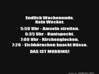 Wenn der Naturwecker nicht ausschl�ft