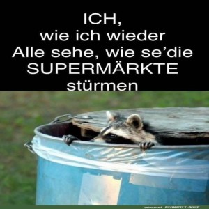 fun-Bild: Wenn der Supermarkt-Raubzug startet!