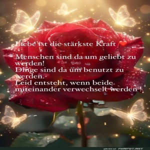 Rosen-und-Wahrheit:-Liebe-oder-Nicht?.jpg von Brenda22
