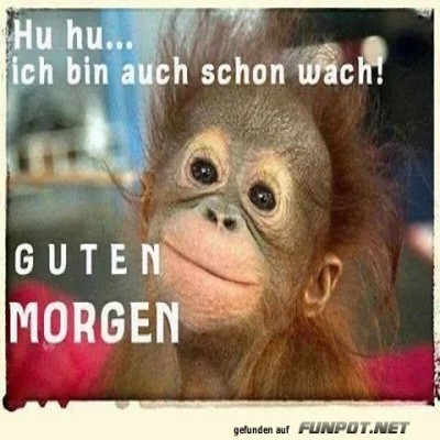Huhu.jpg von Mareike-21