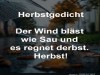 weiter