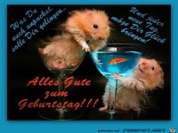 alles gute