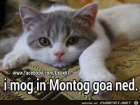 Ich mag Montag gar nicht