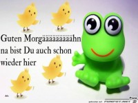 Guten Morgen