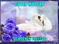 Sch�nen Freitag