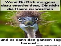 Haare nicht gewaschen