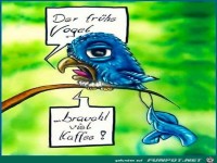 Der fruehe Vogel